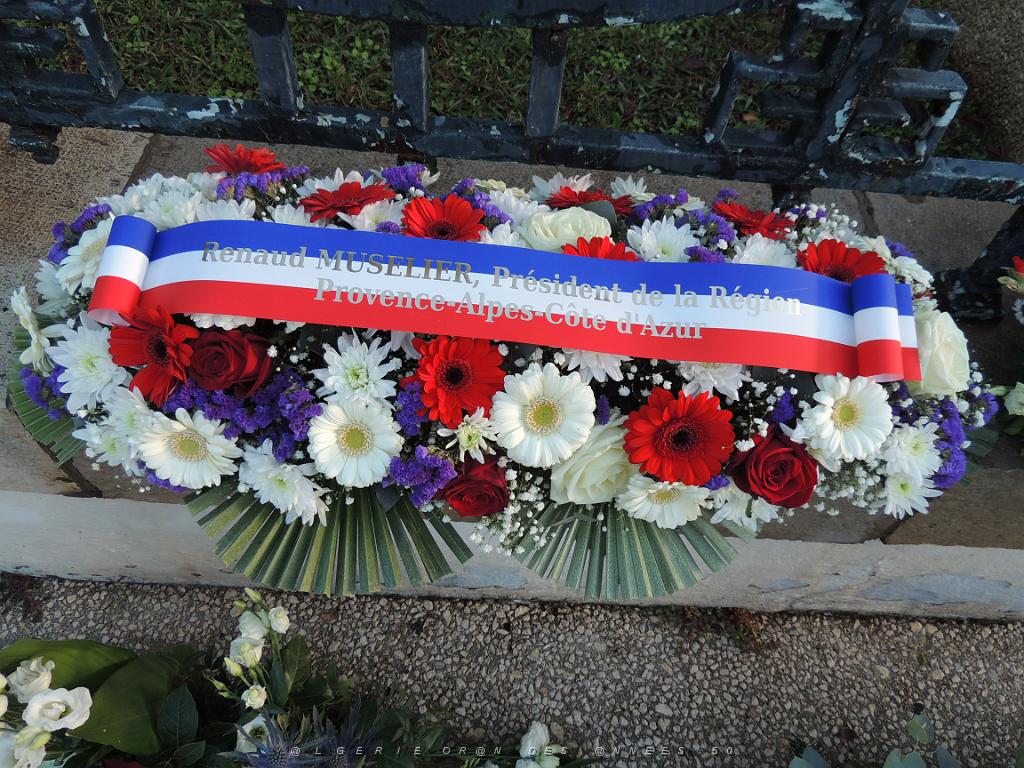 2022 12 05 TOULON HOMMAGE AUX MORTS POUR LA FRANCE EN AFN (6).JPG -           